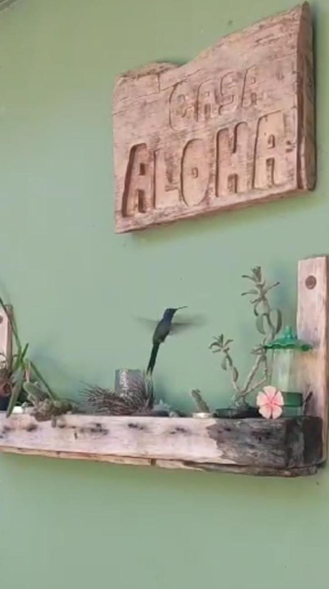 Aloha *